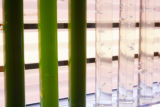 Brett Barney, University of MInnesota researcher in the Department of Bioproducts and Biosystems Engineering.