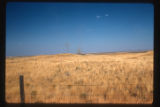 North of Winthrow