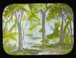 Carboniferous Forest