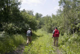 Forestry professor Tom Burk (red vest) and consulting forester on private woodland in Crow Wing County, Minnesota.