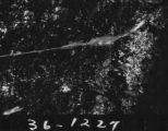 Flight 36 image 1227