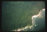 Forest and shore between Ketchikan and Juneau, Alaska