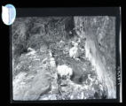 Duck hawk, two young on ledge, North Shore of Lake Superior