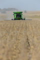 Harvesting soybeans on the Craven farm in Jackson County, Minnesota.