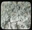 Fossils, Ordorician Limestone, Brachipods and Bryozoans