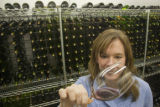 Katie Cook, Enology Project Leader doing sensory evaluation of Minnesota wines at the Horticultural Research Center.