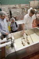 Making cheddar cheese in the Pilot Plant in the Food Science and Nutrition Building, St. Paul campus, University of MInnesota.