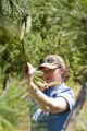 Carrie Pike