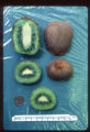 Near Sacramento, Harvested October 1985