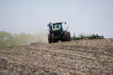 Spring discing of fields on the University of Minnesota, Rosemount Research and Outreach Center.