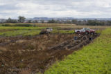 Potato breeding, harvest. University of Minnesota potato breeding plots at the Williston Research Extension Center in North Dakota.