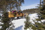 Hansen Tree Farm, horse drawn wagon rides. Christmas trees.