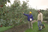 Apple breeding at the University of Minnesota.