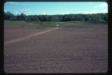 Rhinelander Institute of Forest Genetics gamma radiation field