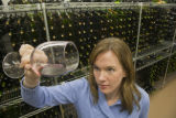 Katie Cook, Enology Project Leader doing sensory evaluation of Minnesota wines at the Horticultural Research Center.