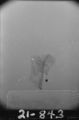 Flight 21 image 843