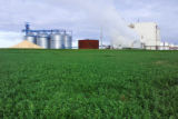 "Minnesota Soybean Processors" plant, Brewster, Minnesota