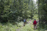 Forestry professor Tom Burk (red vest) and consulting forester on private woodland in Crow Wing County, Minnesota.