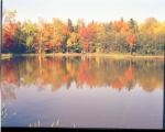 Students enjoying Bagley Nature Area on the University of Minnesota Duluth campus