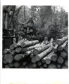 Cloquet Forest Experimental Station