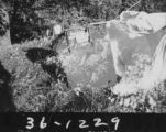 Flight 36 image 1229