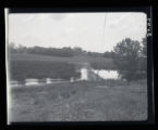 Duck lake near Clinton