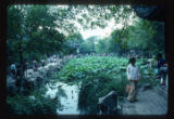 Garden of the humble administrator lotus pool