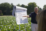 Soybean plots of University of Minnesota soybean researcher Seth Naeve for soybean production research.