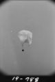 Flight 19 image 788