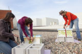 Installing a bee colony on the roof of the Weisman Art Museum, University of MInnesota.
