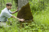 Tony D'Amato, University of Minnesota forest ecologist