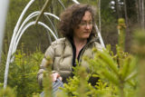 Carrie Pike with spruce subjected to different levels of early spring warming to simulate climate change and its effect on growth.