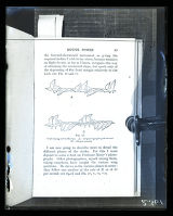 Flight, wing motions in progression, illustration from Frederick Webb Headley, "The Flight of Birds"
