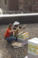 Installing a bee colony on the roof of the Weisman Art Museum, University of MInnesota.