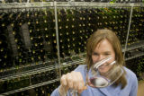 Katie Cook, Enology Project Leader doing sensory evaluation of Minnesota wines at the Horticultural Research Center.