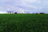 "Minnesota Soybean Processors" plant, Brewster, Minnesota