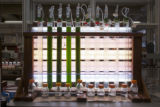 Brett Barney, University of MInnesota researcher in the Department of Bioproducts and Biosystems Engineering.
